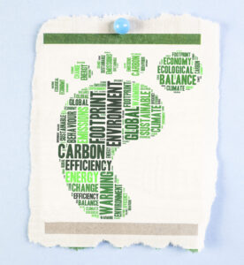 Document Scanning